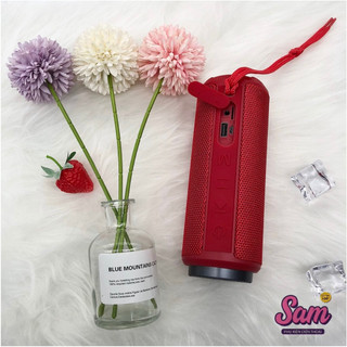 Loa Bluetooth BOROFONE BR22