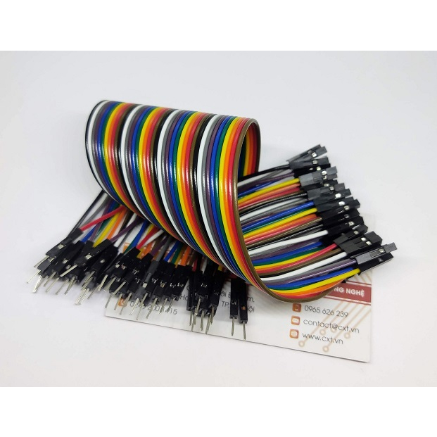 Dây cắm BoardTest 40P 20CM