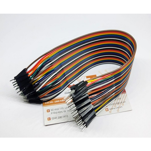 Dây cắm BoardTest 40P 20CM