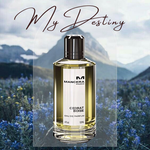 Nước Hoa Mancera Cedrat Boise 2ml/ 5ml/ 10ml Mʏ.Dᴇsᴛɪɴʏ_