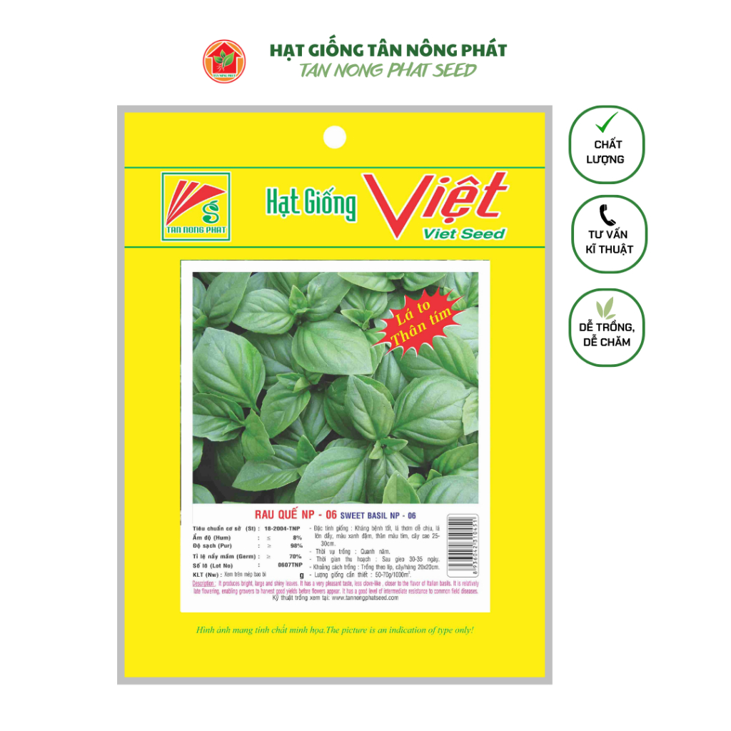 Hạt giống Rau Quế 5GR