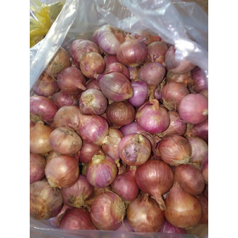 1kg hành tím / 1kg hành tây củ to/ 1kg tỏi ( miền Bắc , miền Trung lưu ý hàng đi xa có thể bị úng / mọc mầm)