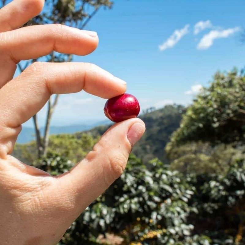 1 kg Cafe Da Vàng Lụa 2 gói 500g