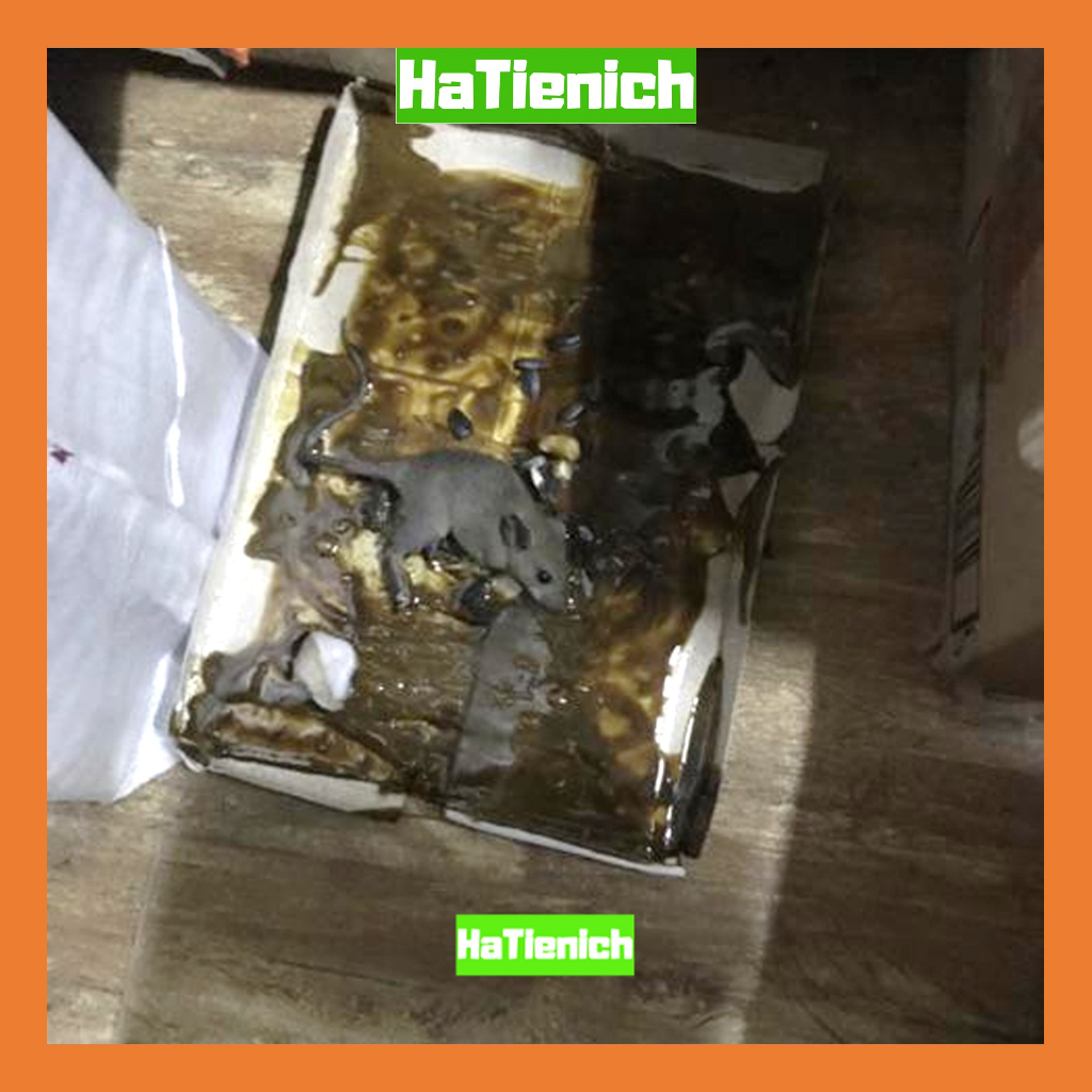 Keo Dính Chuột Siêu Dính, Diệt Sạch Chuột - Hà Tiện Ích