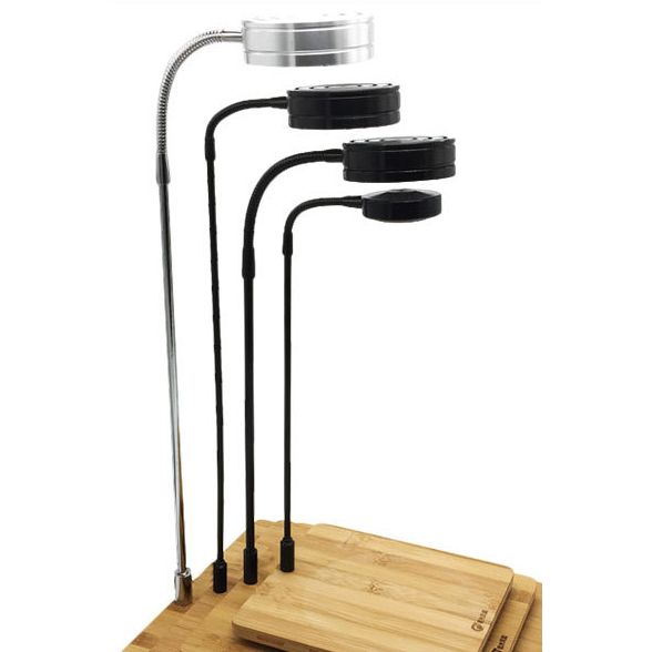 Đèn Led Terrarium Kèm Đế Gỗ Tiết Kiệm Điện Full Box