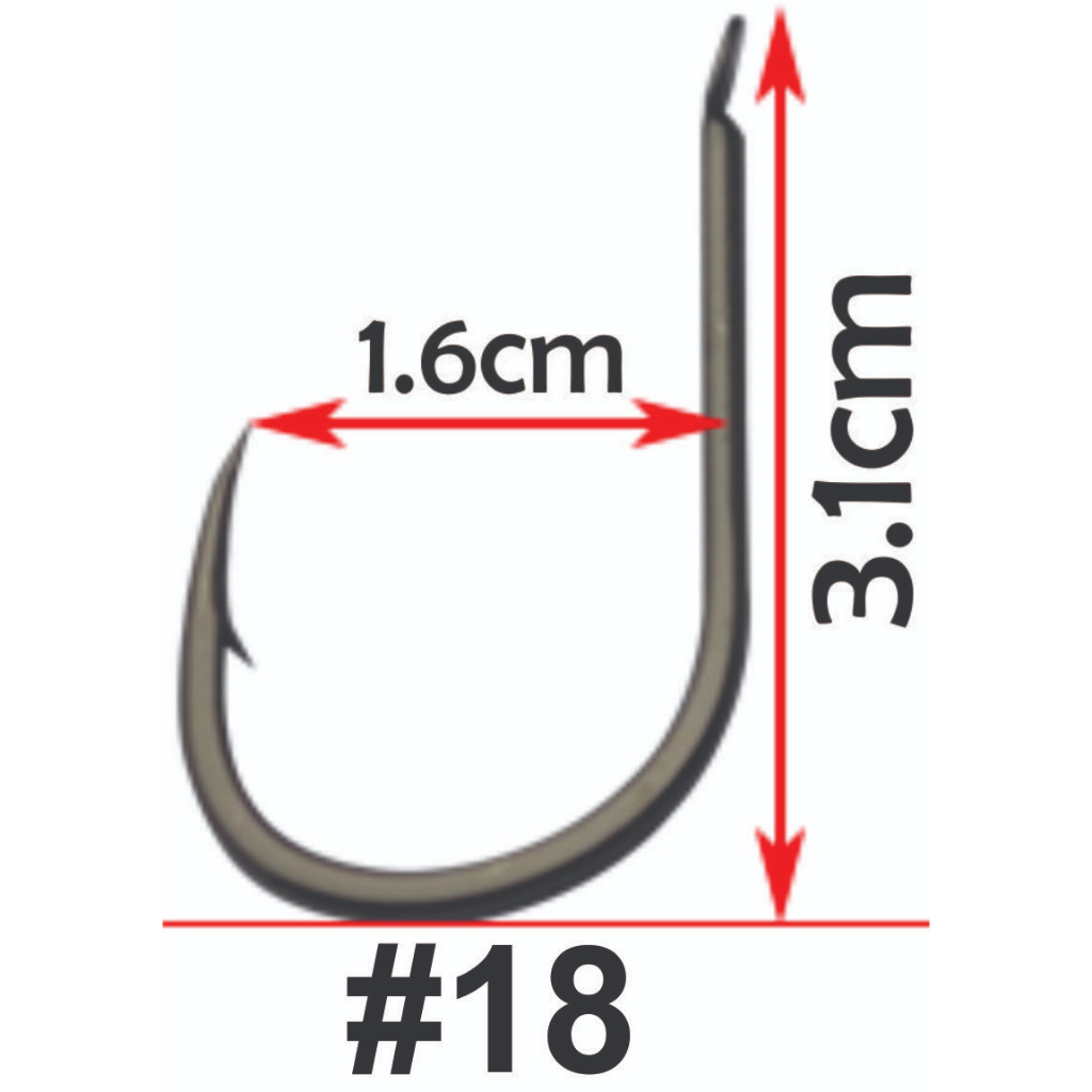 Chùm Nho Câu Cá Tra