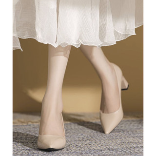 HÀNG CÓ SẴN (Size 40 ➡️ 44) _ Giày cao gót Big Size