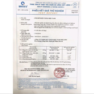 SÂM BỔ KIỆN THẢO MỘC NAM