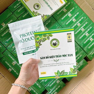 SÂM BỔ KIỆN THẢO MỘC NAM