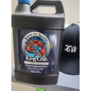 kích rễ , nấm rễ , lợi khuẩn khủng nhất hiện nay. liều dùng 1ml/8lít hoặc đậm đặc 1ml/4lít