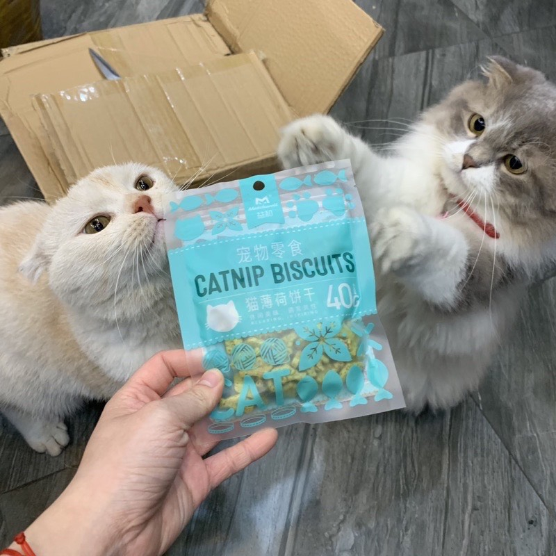 Bánh cá cho mèo Catnip Biscuits 40g Đồ ăn vặt cho Mèo