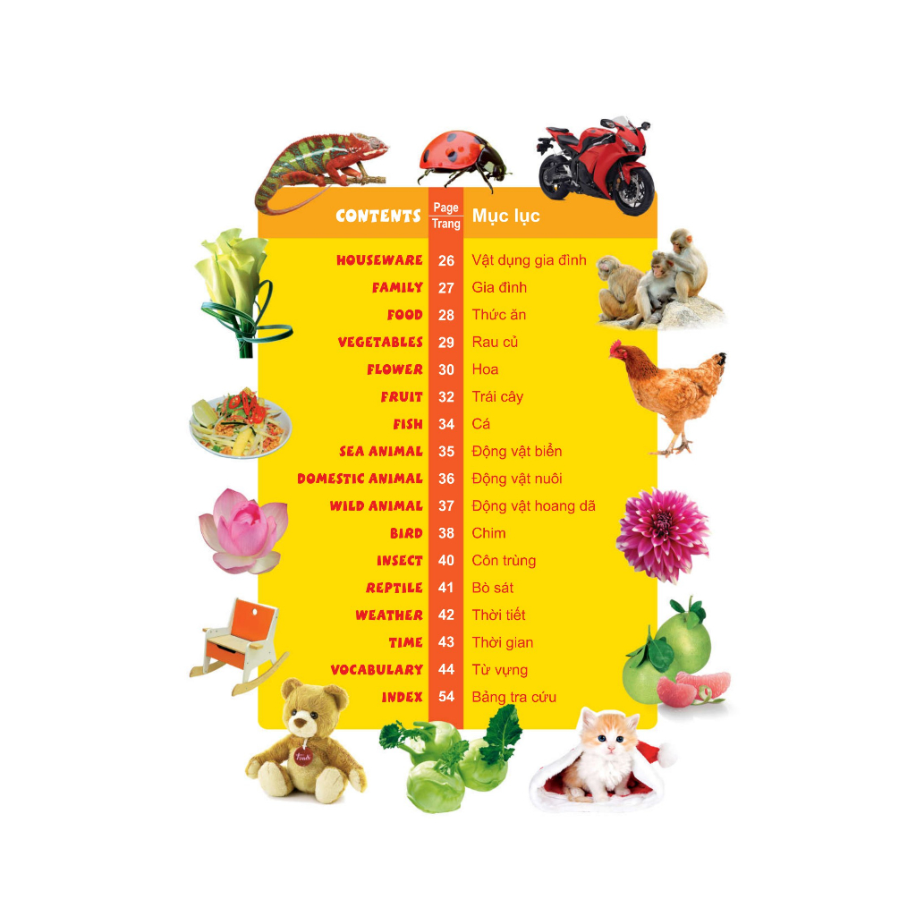 Sách: 1000 Từ Tiếng Anh Đầu Tiên