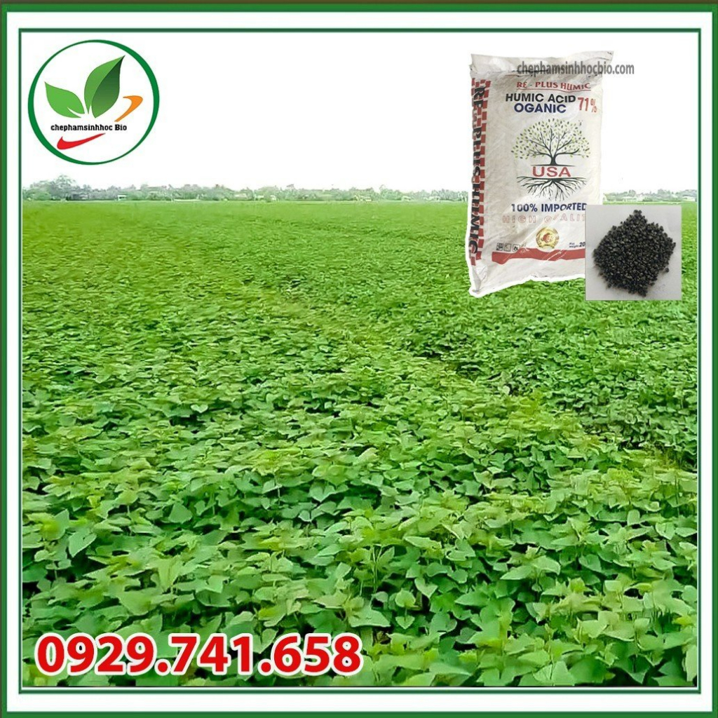 Phân bón HUMIC dạng Miểng. Bao 20kg