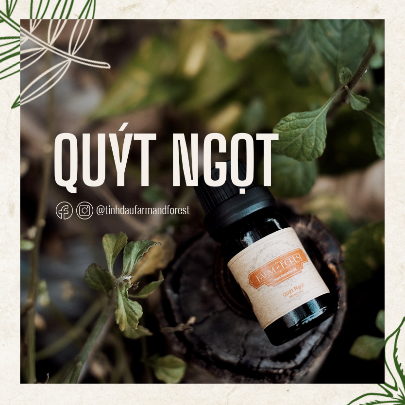 Tinh Dầu Quýt Ngọt 10ml, Vỏ Cam Tinh Dầu Thiên Nhiên Nguyên Chất, Farm & Forest, Thư Giãn, Khử Mùi, Sảng Khoái, Tỉnh Táo