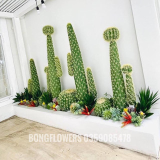 Cây xương rồng giả decor trang trí nhà cửa siêu đẹp