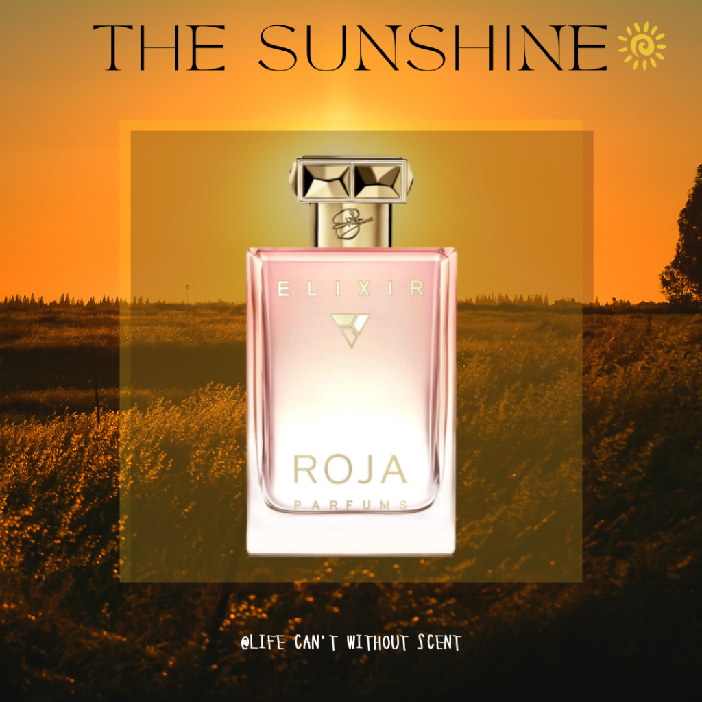 Nước hoa Elixir Roja 5ml/10ml/20ml[ 𝓣𝓱𝓮𝓢𝓾𝓷𝓢𝓱𝓲𝓷𝓮 ]