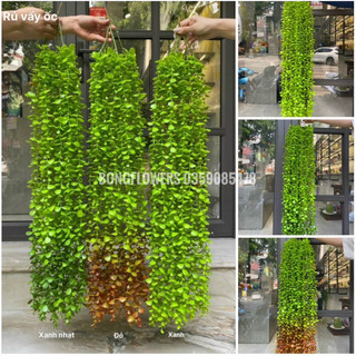 Cụm lá cúc tần giả lá to hay cụm lá vảy ốc giả 2 size 3 màu khách nhé