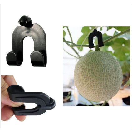 Móc treo dưa lưới (móc treo trái dưa lưới) 1 cái