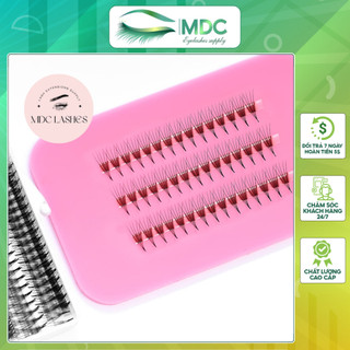 Mi fan MDC LASHES line 4D độ cong C - CC - D, độ dày 0.07 (1 hộp 1000 fan)