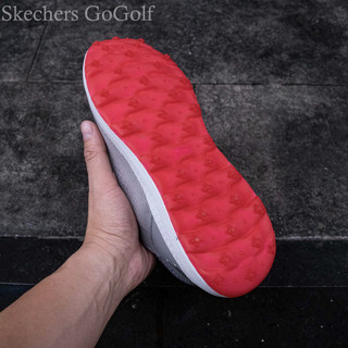 Giày Skechers Golf, giày Golf cho nam.