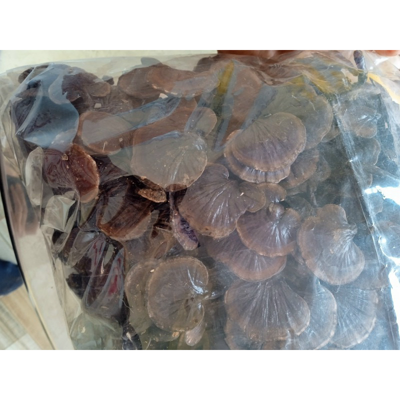 - Nấm Linh Chi Rừng - Hàng Chuẩn 100%