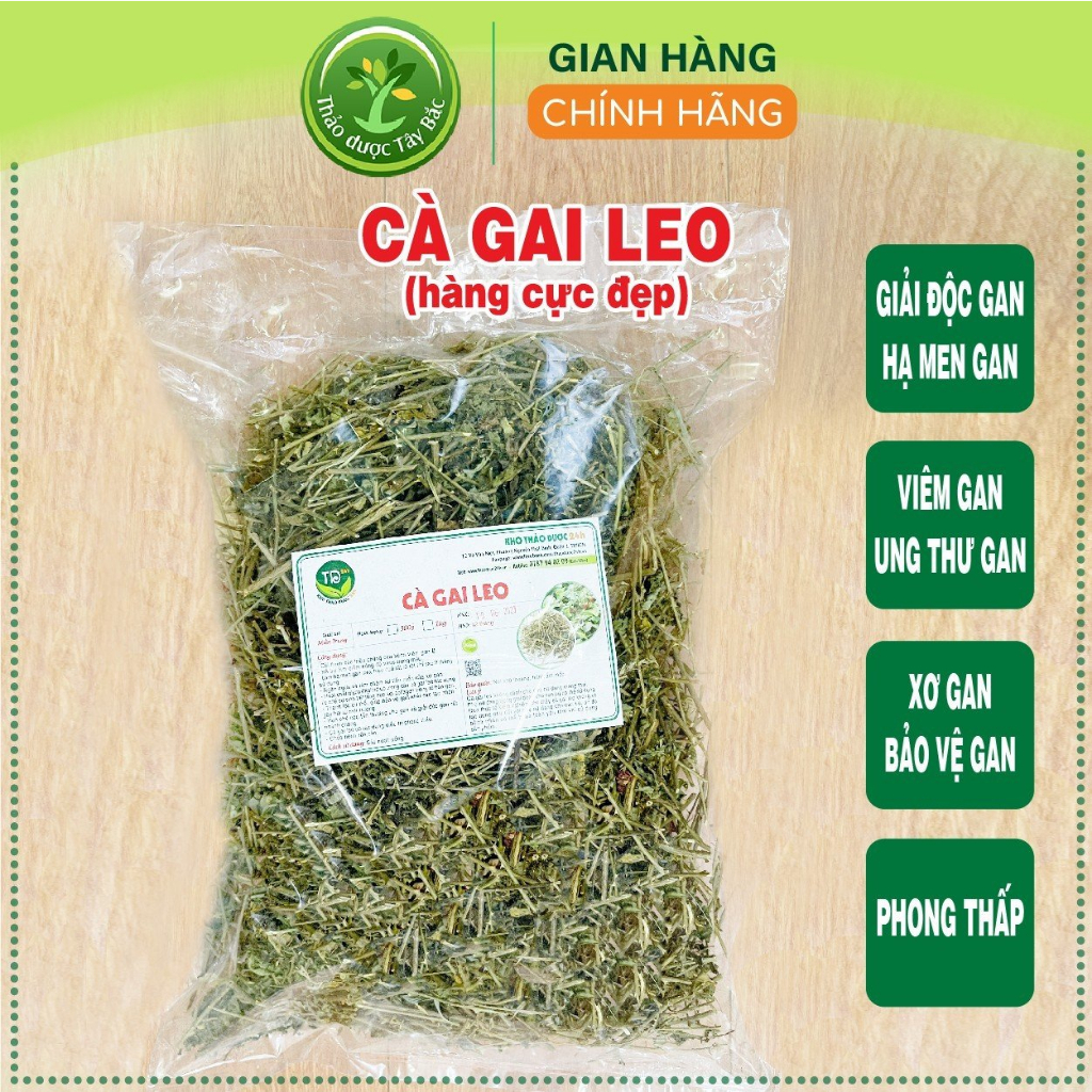 Cà gai leo Hòa Bình chính hiệu, giải độc, hạ men gan, làm mát gan, bảo vệ lá gan cho gia đình, thảo dược sạch 100%
