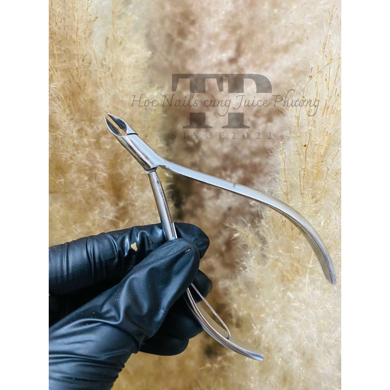 KỀM ĐỘC QUYỀN TRÚC PHƯƠNG