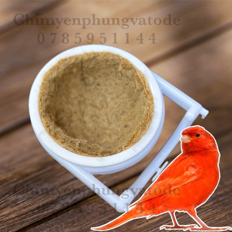 Tổ đẻ bằng nhựa chim Yến Hót kèm miếng lót cho tổ.