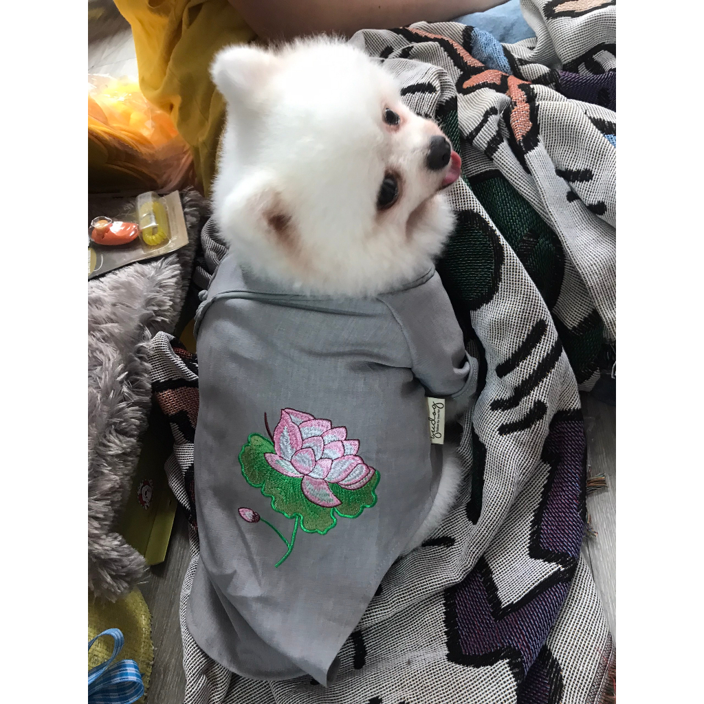 Áo dài, Áo Lam cho thú cưng chó mèo đi chùa ngày lễ