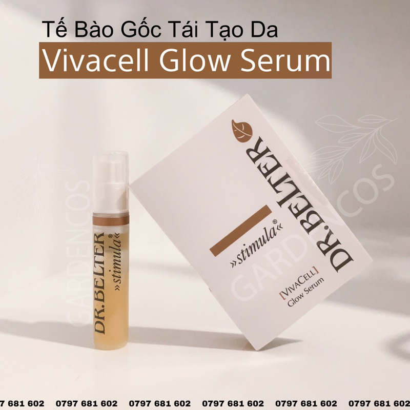 Mini Size Các Loại Thương Hiệu DR. Belter