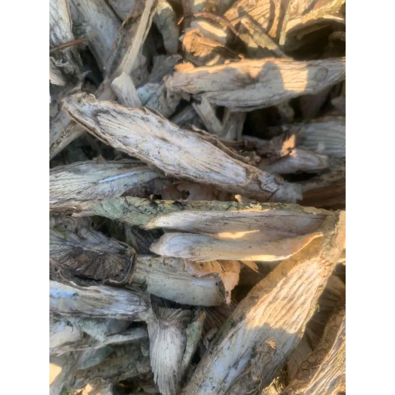 DÂY ĐAU XƯƠNG PHƠI KHÔ ( 1 Kg)
