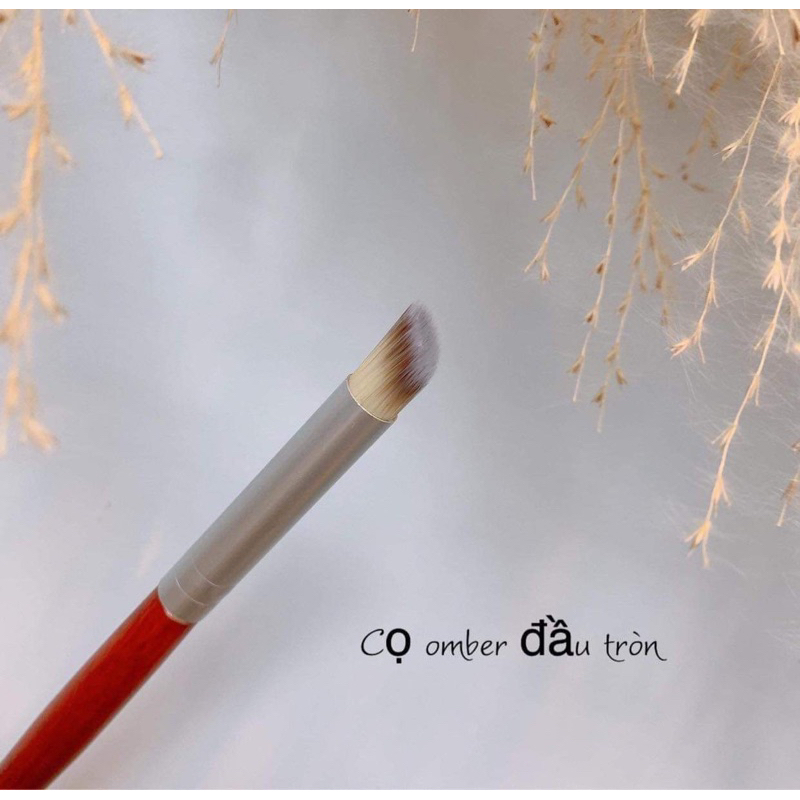 cọ omber đầu tròn