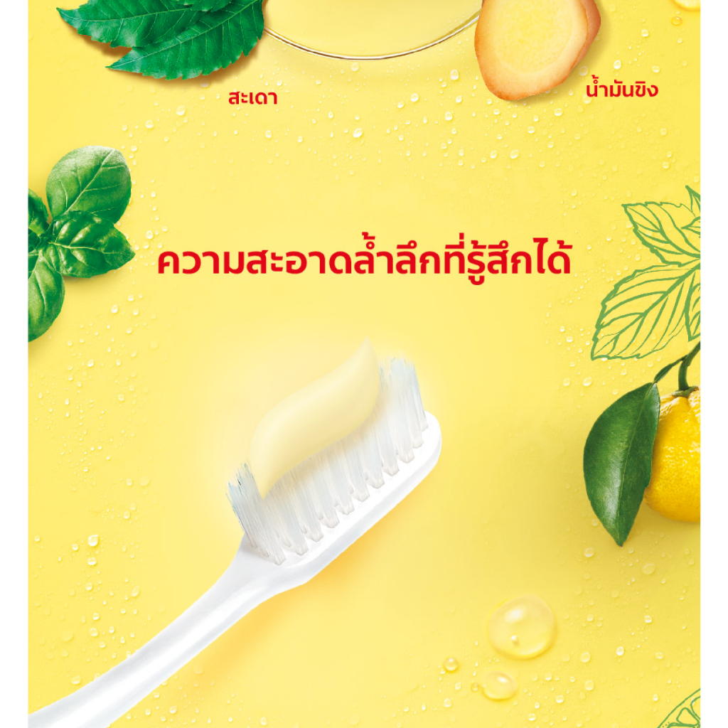 Kem đánh răng thảo dược Colgate Panjaved, Zesty Yuzu, Concentrate Citrus Mint Herbal Detox