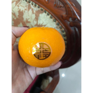 Hỷ cuộn dán trái cây, Trầu cau (đường kính 2,5cm)