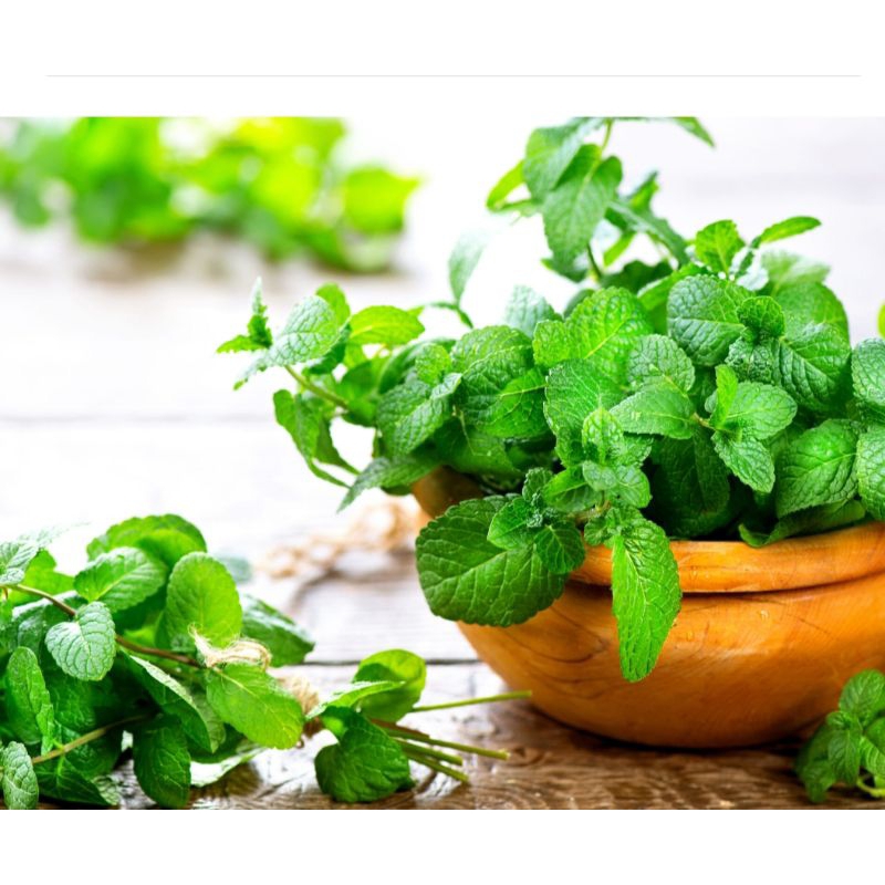 HƯƠNG BẠC HÀ PHÁP - HƯƠNG THỰC PHẨM