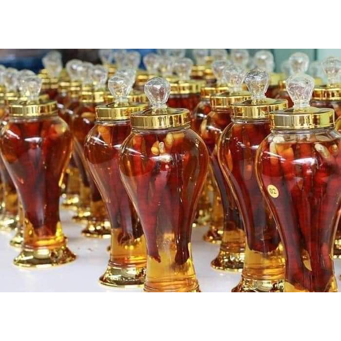 Nấm linh chi sừng hươu - rừng Tây Bắc