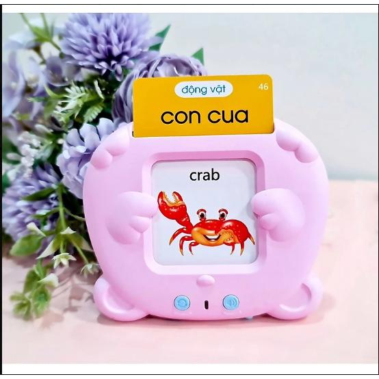 Máy đọc thẻ song ngữ Anh Việt flashcard 255 thẻ 510 từ vựng và 12 chủ đề
