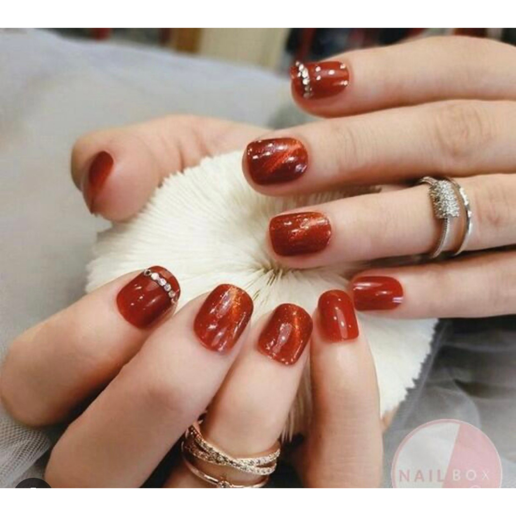 sét sơn gel mắt mèo 10 chai VENDENI 15ml (tặng kèm bảng màu)