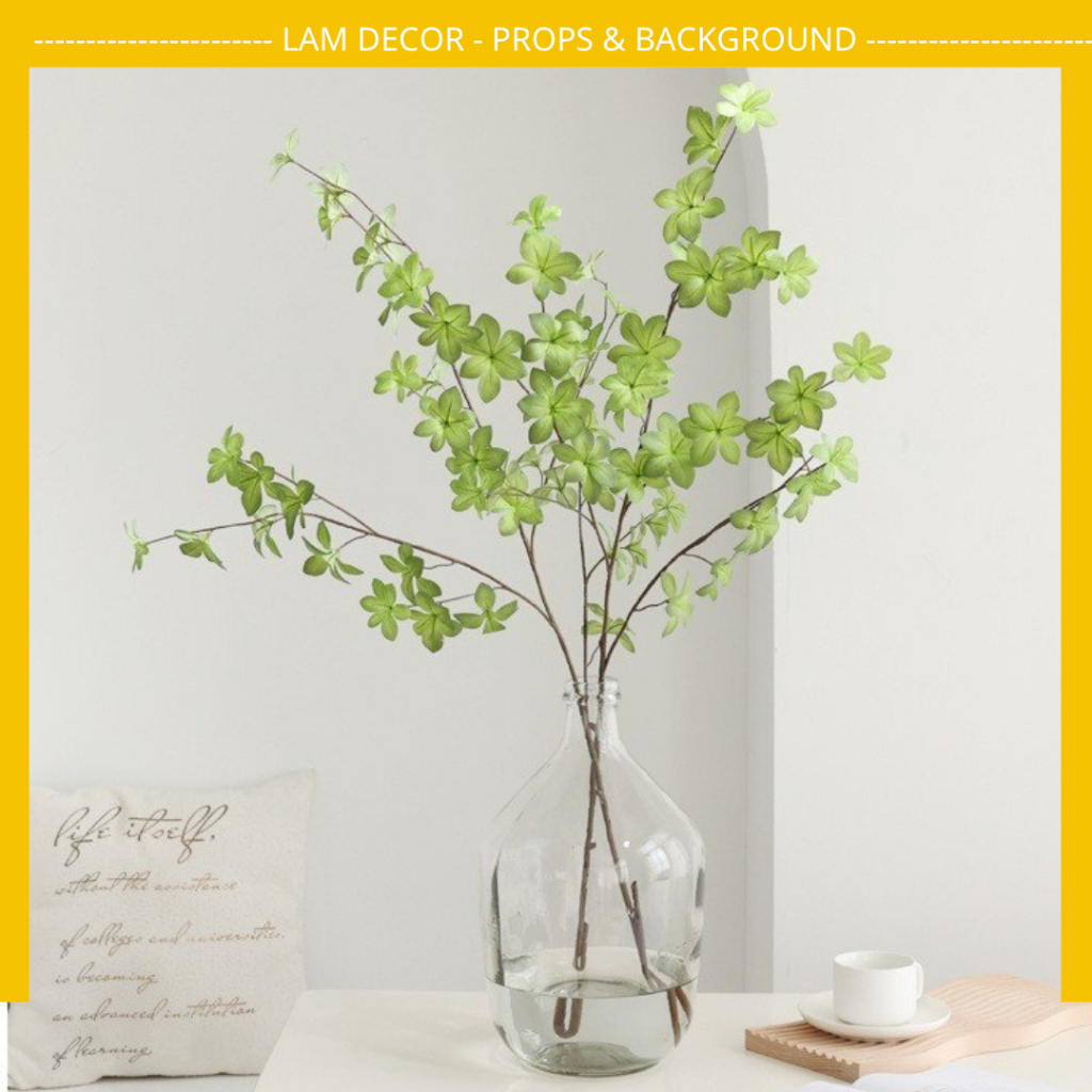 Cây lá chuông phong cách tối giản Nhật Bản, Cành Thạch Nam làm phụ kiện chụp ảnh, decor nhà cửa