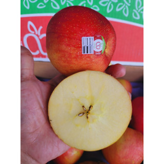 1kg Táo Ever Mỹ giòn ngọt