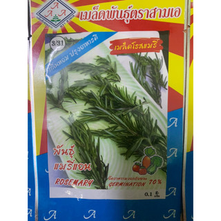 Hạt giống cây hương thảo nhập khẩu thái lan nguyên bao bì