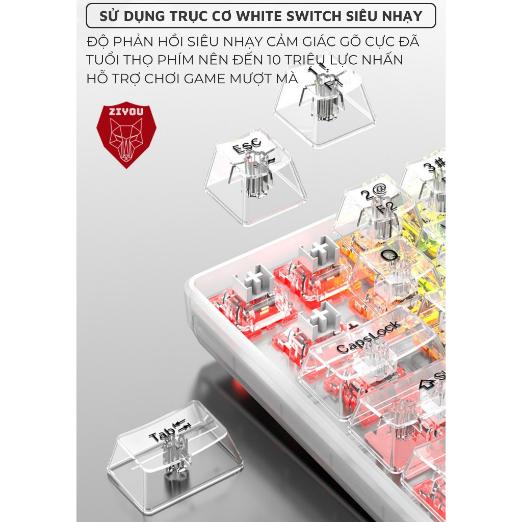 Bàn Phím Cơ Bluetooth Mini Trong Suốt Siêu Đẹp Ziyou K30 Pro Trục CƠ White Switch Gõ Êm Có HOTSWAP Cho Máy Tính Ipad ĐT | BigBuy360 - bigbuy360.vn