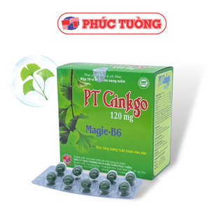 PT Ginkgo bổ não, cải thiện trí nhớ