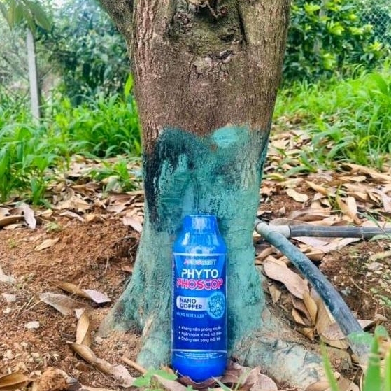 PHYTO COPPER NANO