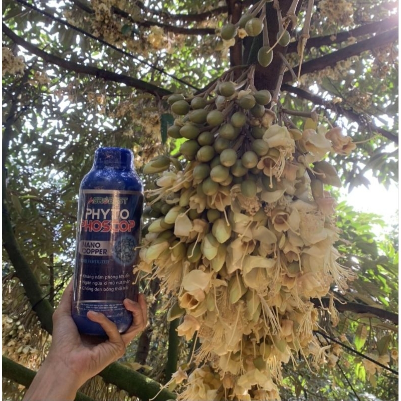 PHYTO COPPER NANO