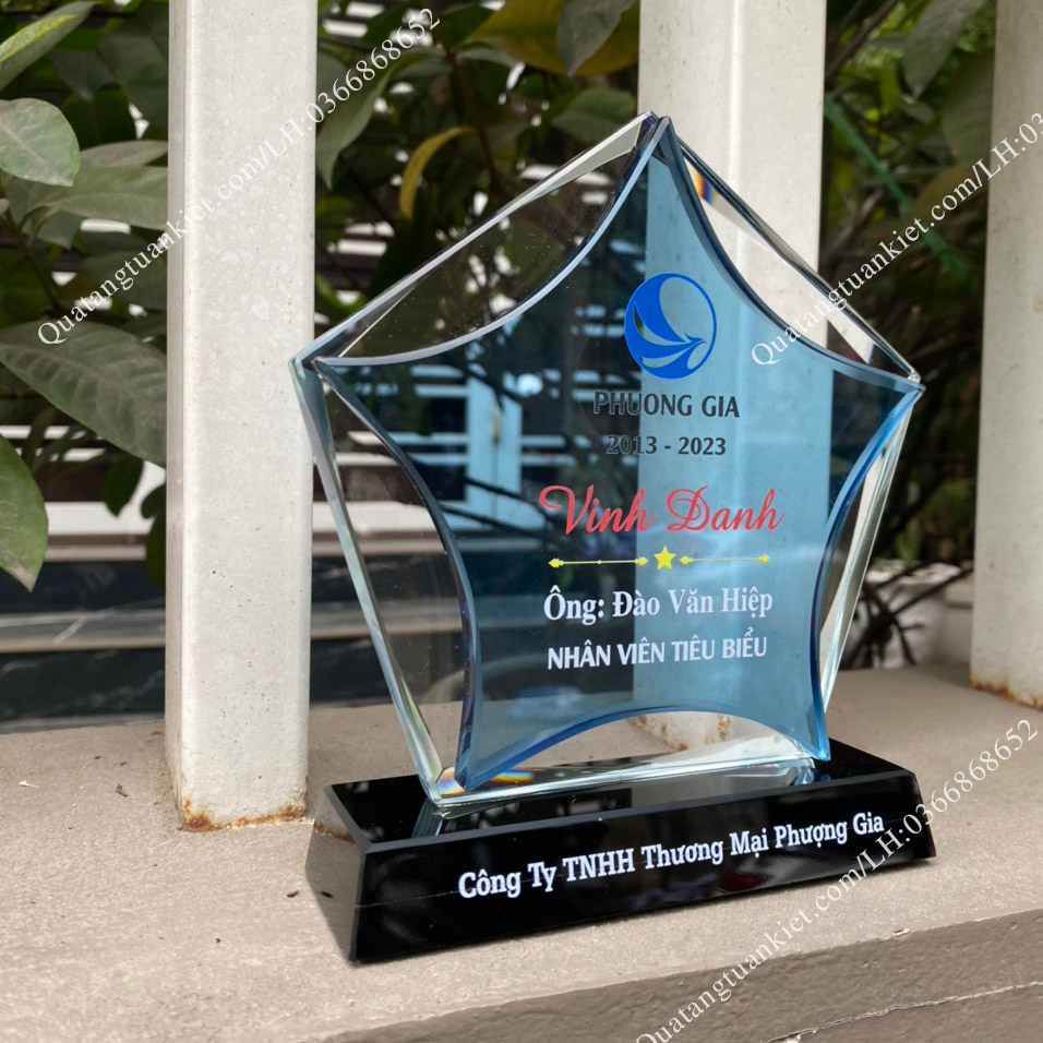 Cúp Pha Lê,Kỷ Niệm Chương Pha Lê K9