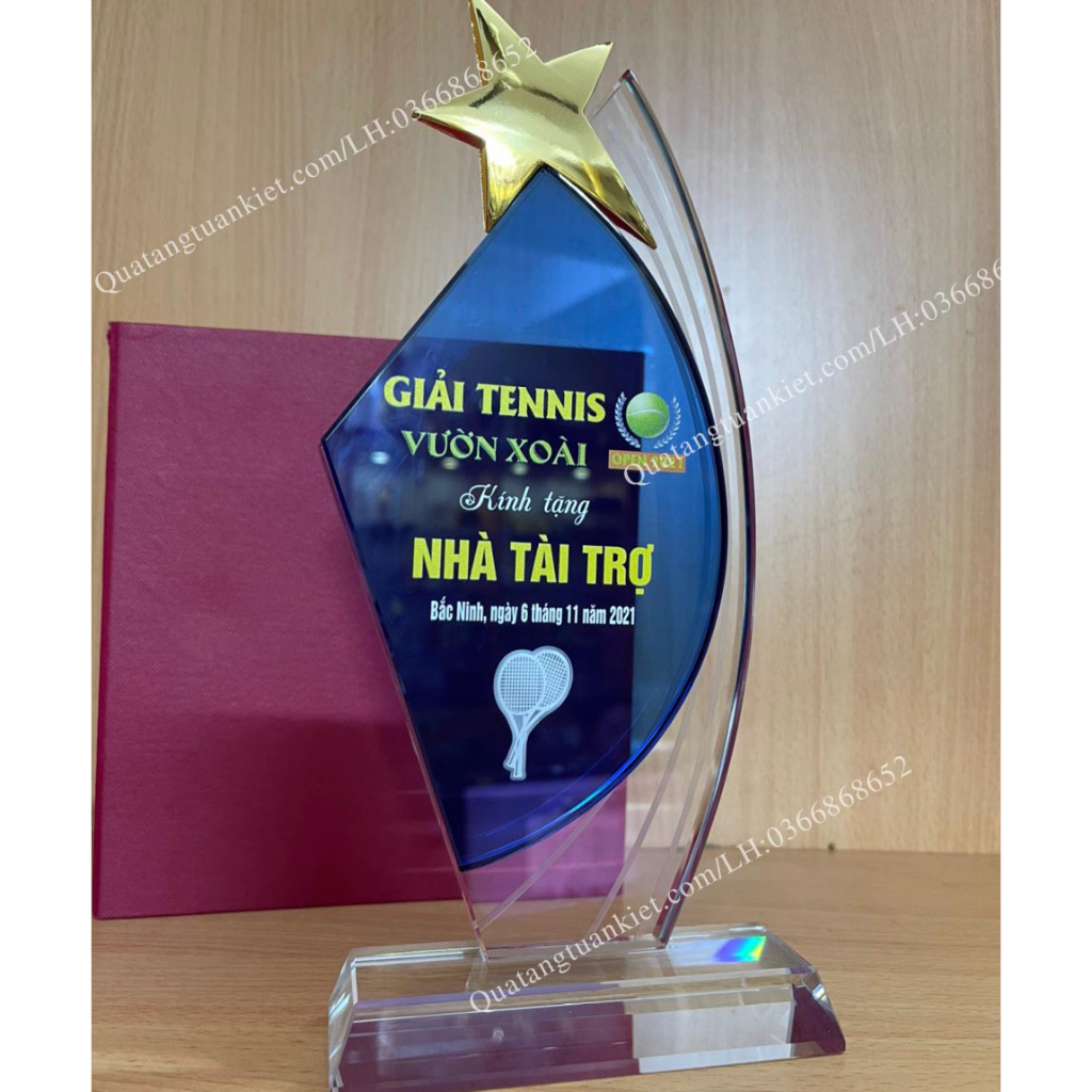 Cúp Pha Lê,Kỷ Niệm Chương Pha Lê K9