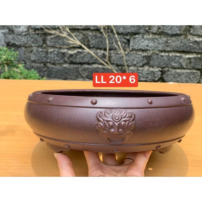 Chậu tròn đinh mặt bợm