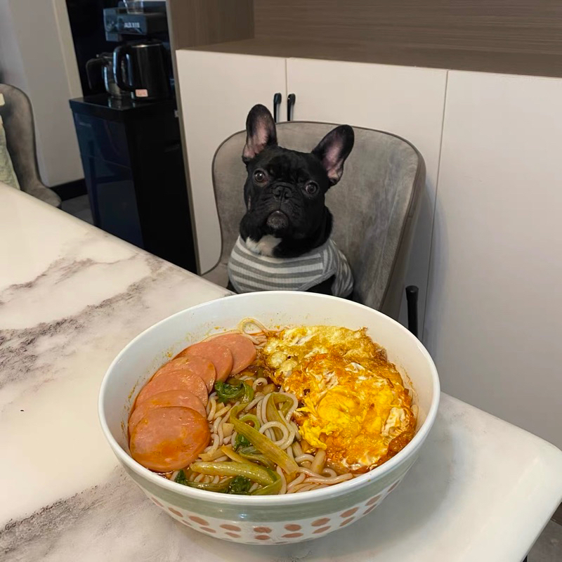 Set tô phở, tô mì, bộ bát cao cấp, quà tân gia