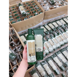 Dầu gội xả gừng